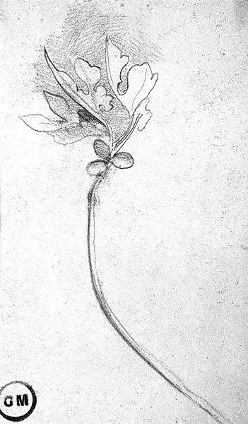 Cliquez pour fermer la fen&ecirc;tre