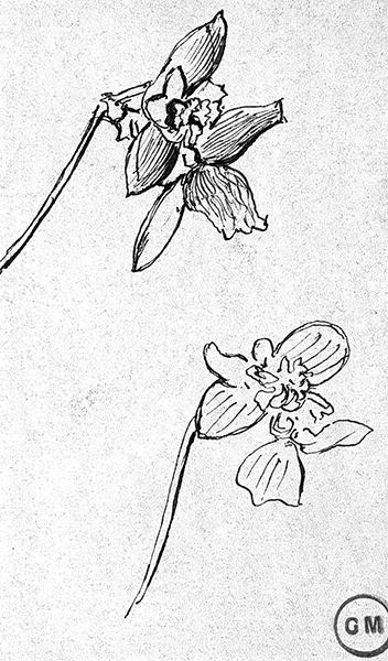 Cliquez pour fermer la fen&ecirc;tre