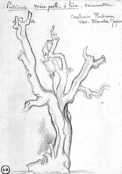 Cliquez pour fermer la fen&ecirc;tre