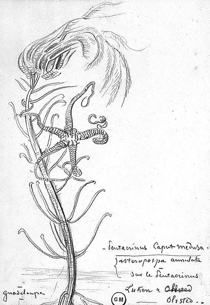 Cliquez pour fermer la fen&ecirc;tre