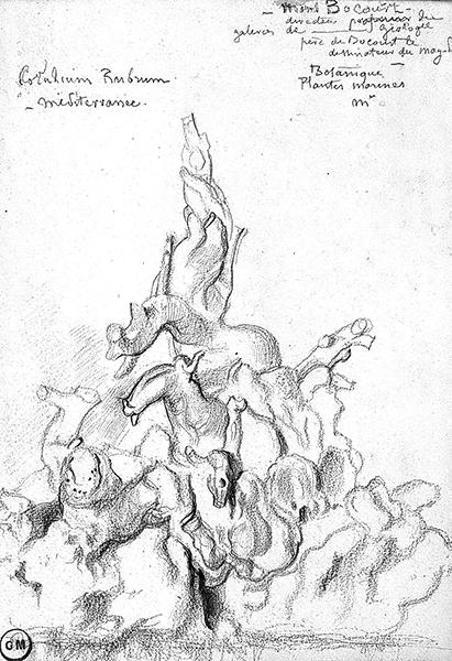 Cliquez pour fermer la fen&ecirc;tre