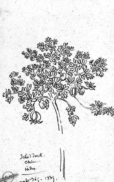 Cliquez pour fermer la fen&ecirc;tre