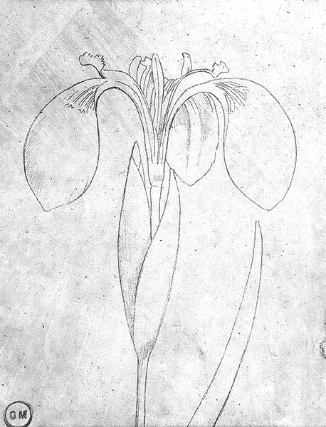 Cliquez pour fermer la fen&ecirc;tre