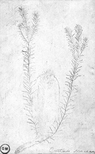 Cliquez pour fermer la fen&ecirc;tre