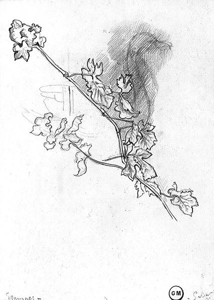 Cliquez pour fermer la fen&ecirc;tre