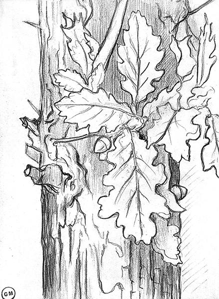 Cliquez pour fermer la fen&ecirc;tre