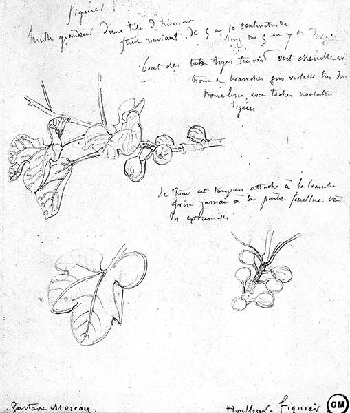 Cliquez pour fermer la fen&ecirc;tre