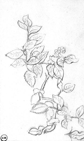 Cliquez pour fermer la fen&ecirc;tre