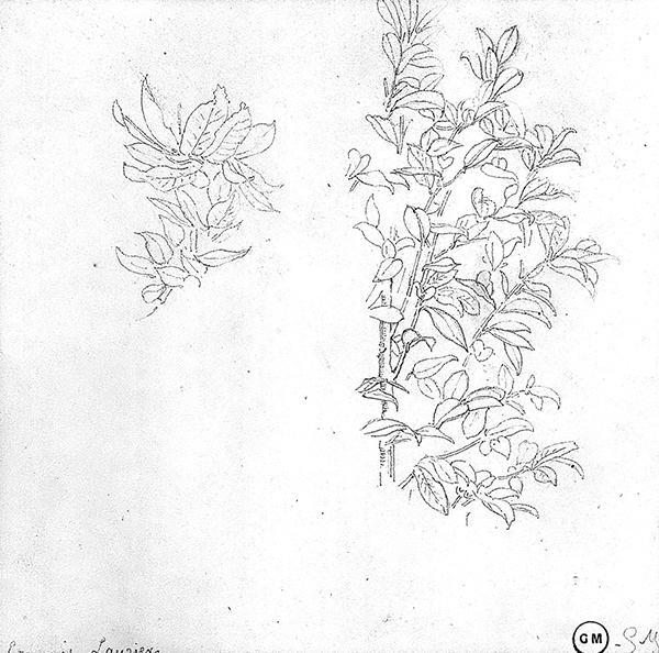 Cliquez pour fermer la fen&ecirc;tre