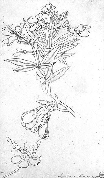 Cliquez pour fermer la fen&ecirc;tre