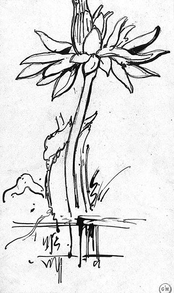 Cliquez pour fermer la fen&ecirc;tre