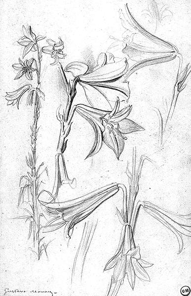 Cliquez pour fermer la fen&ecirc;tre