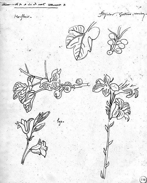 Cliquez pour fermer la fen&ecirc;tre