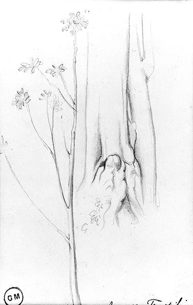 Cliquez pour fermer la fen&ecirc;tre