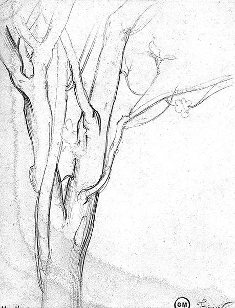 Cliquez pour fermer la fen&ecirc;tre