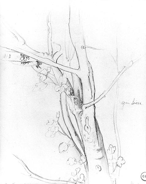 Cliquez pour fermer la fen&ecirc;tre