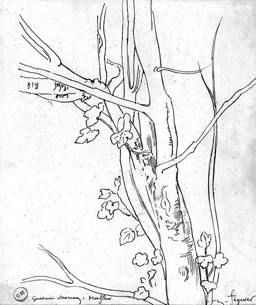 Cliquez pour fermer la fen&ecirc;tre