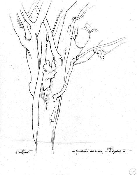 Cliquez pour fermer la fen&ecirc;tre