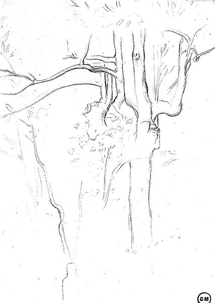 Cliquez pour fermer la fen&ecirc;tre