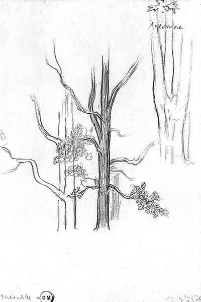 Cliquez pour fermer la fen&ecirc;tre