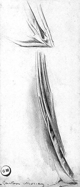 Cliquez pour fermer la fen&ecirc;tre