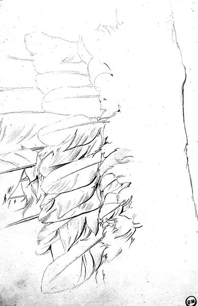 Cliquez pour fermer la fen&ecirc;tre