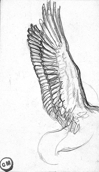 Cliquez pour fermer la fen&ecirc;tre