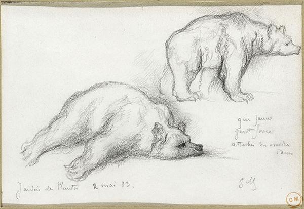 Cliquez pour fermer la fen&ecirc;tre