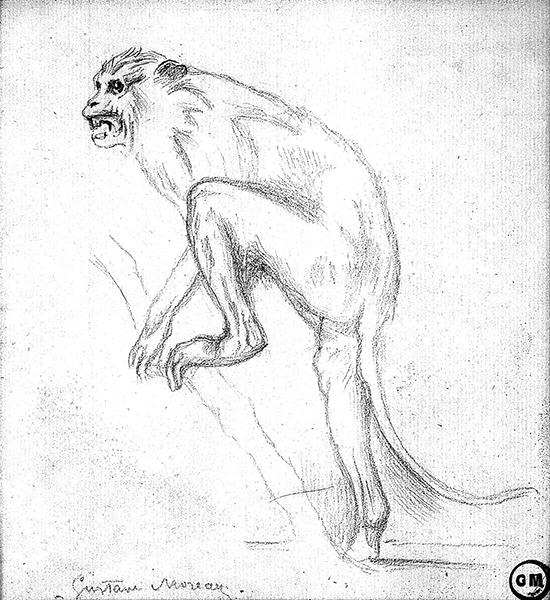 Cliquez pour fermer la fen&ecirc;tre