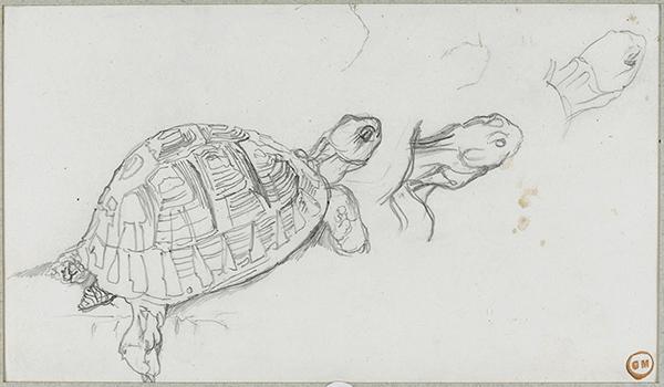 Cliquez pour fermer la fen&ecirc;tre