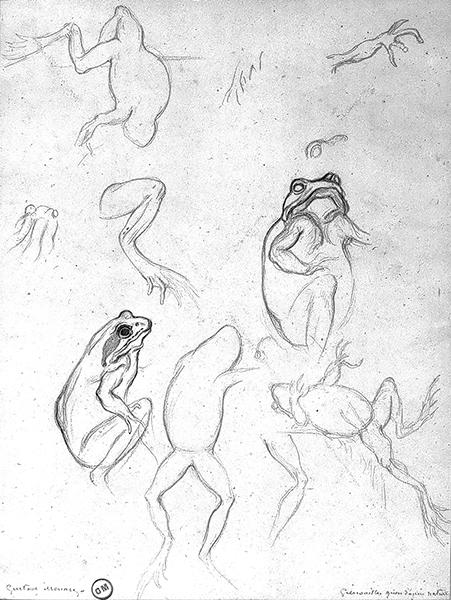 Cliquez pour fermer la fen&ecirc;tre