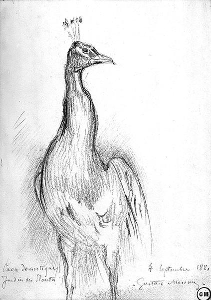 Cliquez pour fermer la fen&ecirc;tre