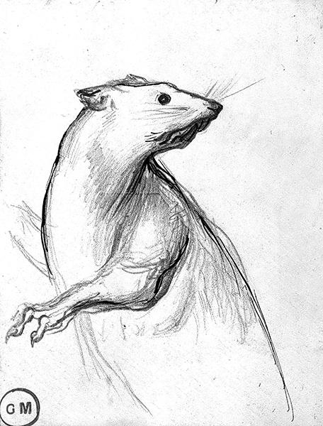 Cliquez pour fermer la fen&ecirc;tre