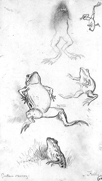 Cliquez pour fermer la fen&ecirc;tre