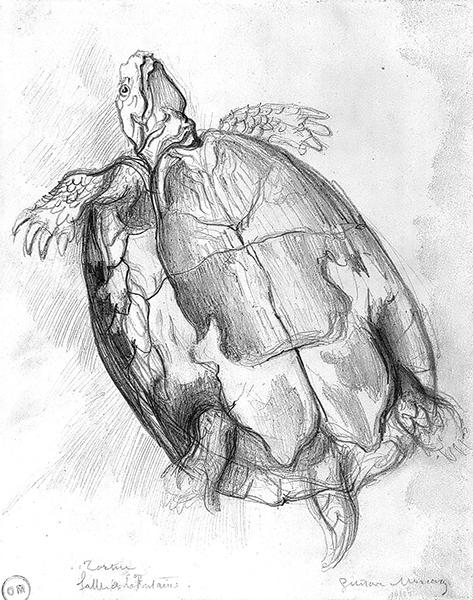 Cliquez pour fermer la fen&ecirc;tre