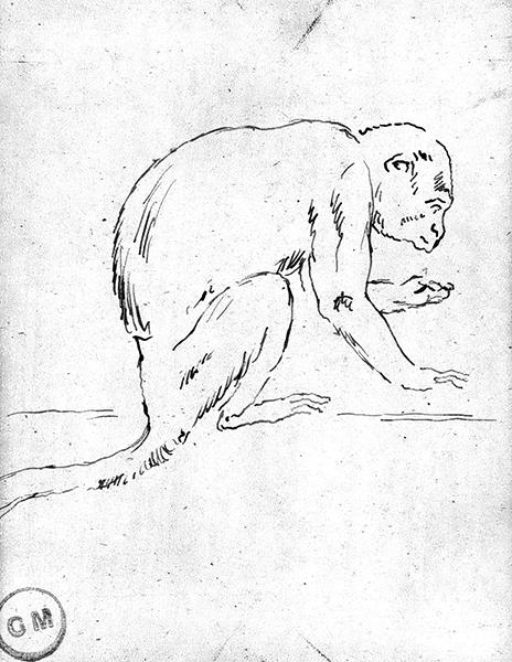 Cliquez pour fermer la fen&ecirc;tre