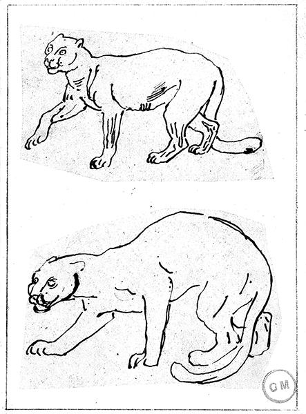 Cliquez pour fermer la fen&ecirc;tre