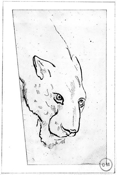 Cliquez pour fermer la fen&ecirc;tre