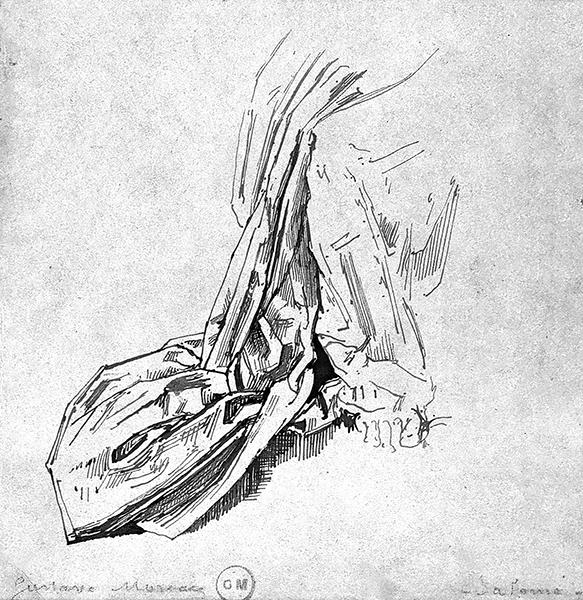 Cliquez pour fermer la fen&ecirc;tre