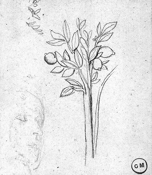 Cliquez pour fermer la fen&ecirc;tre