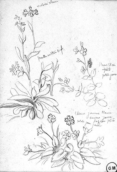 Cliquez pour fermer la fen&ecirc;tre