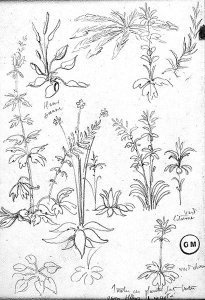 Cliquez pour fermer la fen&ecirc;tre