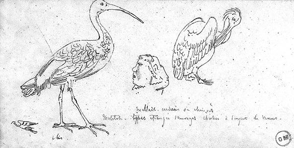 Cliquez pour fermer la fen&ecirc;tre