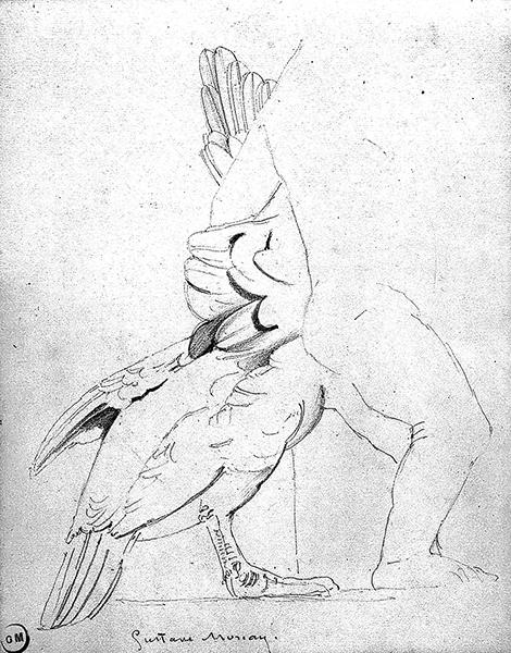 Cliquez pour fermer la fen&ecirc;tre